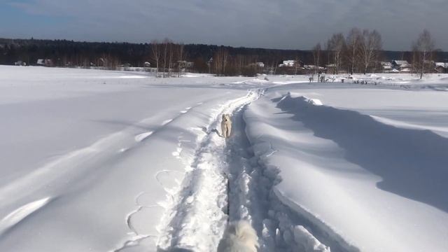 Первый выход