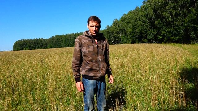 БЕЛЫЕ ГРИБЫ В КАЛУЖСКОЙ ОБЛАСТИ,АВГУСТ смотреть онлайн