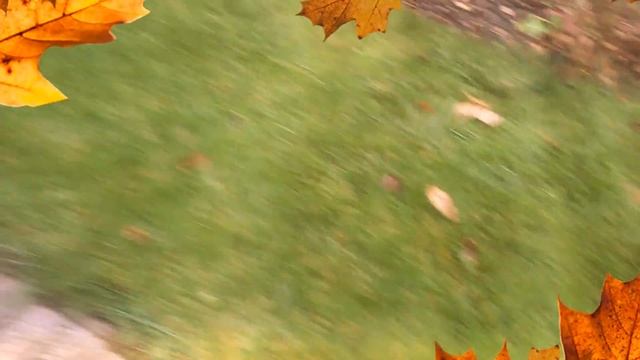 Консервация автополива от фирмы ХСАП смотреть онлайн