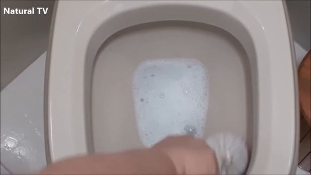 O Que Quase Ninguém Sabe Sobre a ÁGUA COM ALHO! Porque Não me Disseram Isso Antes смотреть онлайн