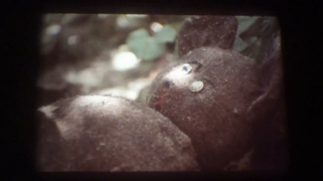 16mm Film - Liouba - Я сюда больше никогда не вернусь - UdSSR 1990