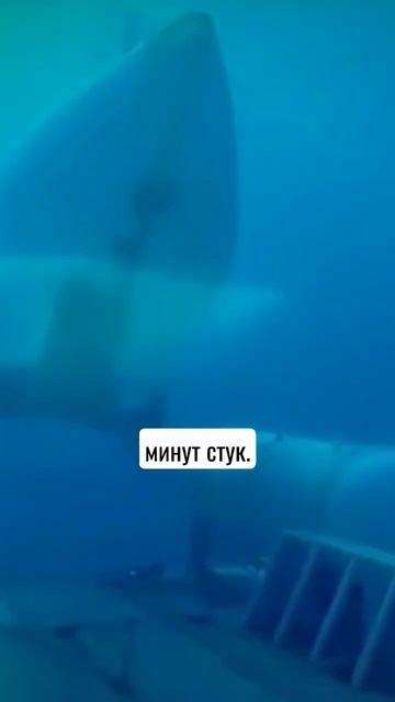 Новые новости про батискаф Титан. #shorts смотреть онлайн