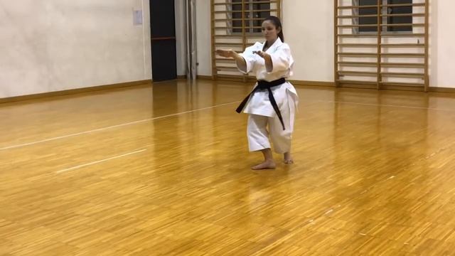 ANSHIN-KAI FORCHINI Shito-Ryu KATA - HAFFA / HAKKAKU смотреть онлайн