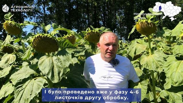 Тест-драйв Цимоксилу. Хмельницька область. ФГ з фунгіцидним захистом у 4 внесення смотреть онлайн