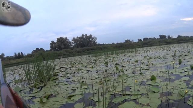 Охота на утку 2016 смотреть онлайн