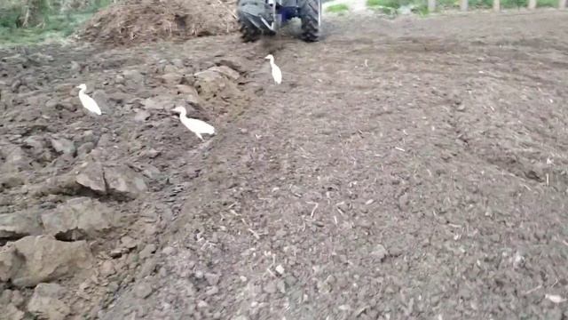 mb plaow h1 me khichta huaa смотреть онлайн