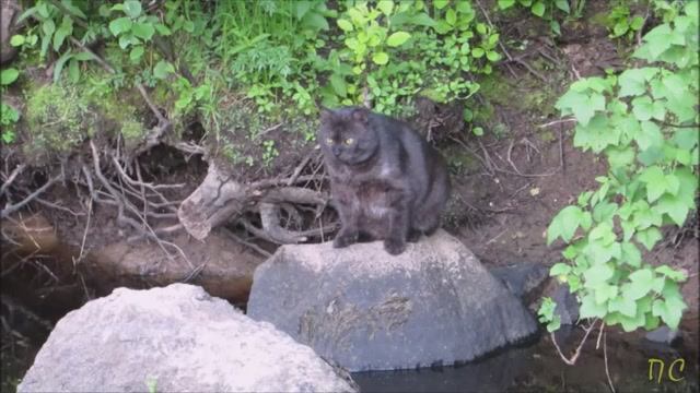 Туда и обратно...