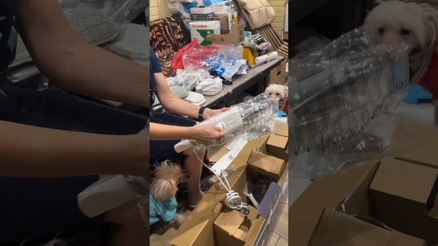 Галина новая помощница 👍🏻 смотреть онлайн