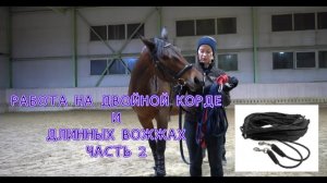 Часть 2. Работа на длинных вожжах (doppellonge), на двойной корде с молодой лошадью.