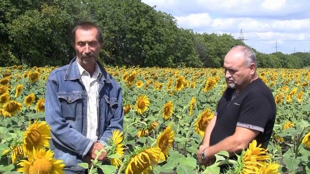 Видеоотчет ООО Гамма Грейнактив-С смотреть онлайн