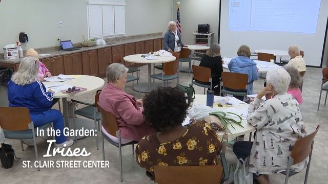 In the Garden: Irises смотреть онлайн