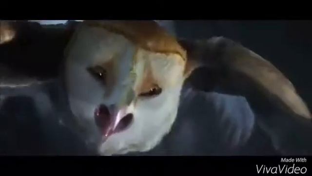 Клип Легенды ночных стражей - Белые птицы. смотреть онлайн