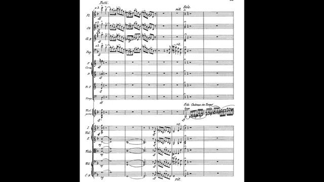 R. Strauss - Violin concerto in D minor op. 8, I mov Allegro (1/3) [SCORE VIDEO] смотреть онлайн