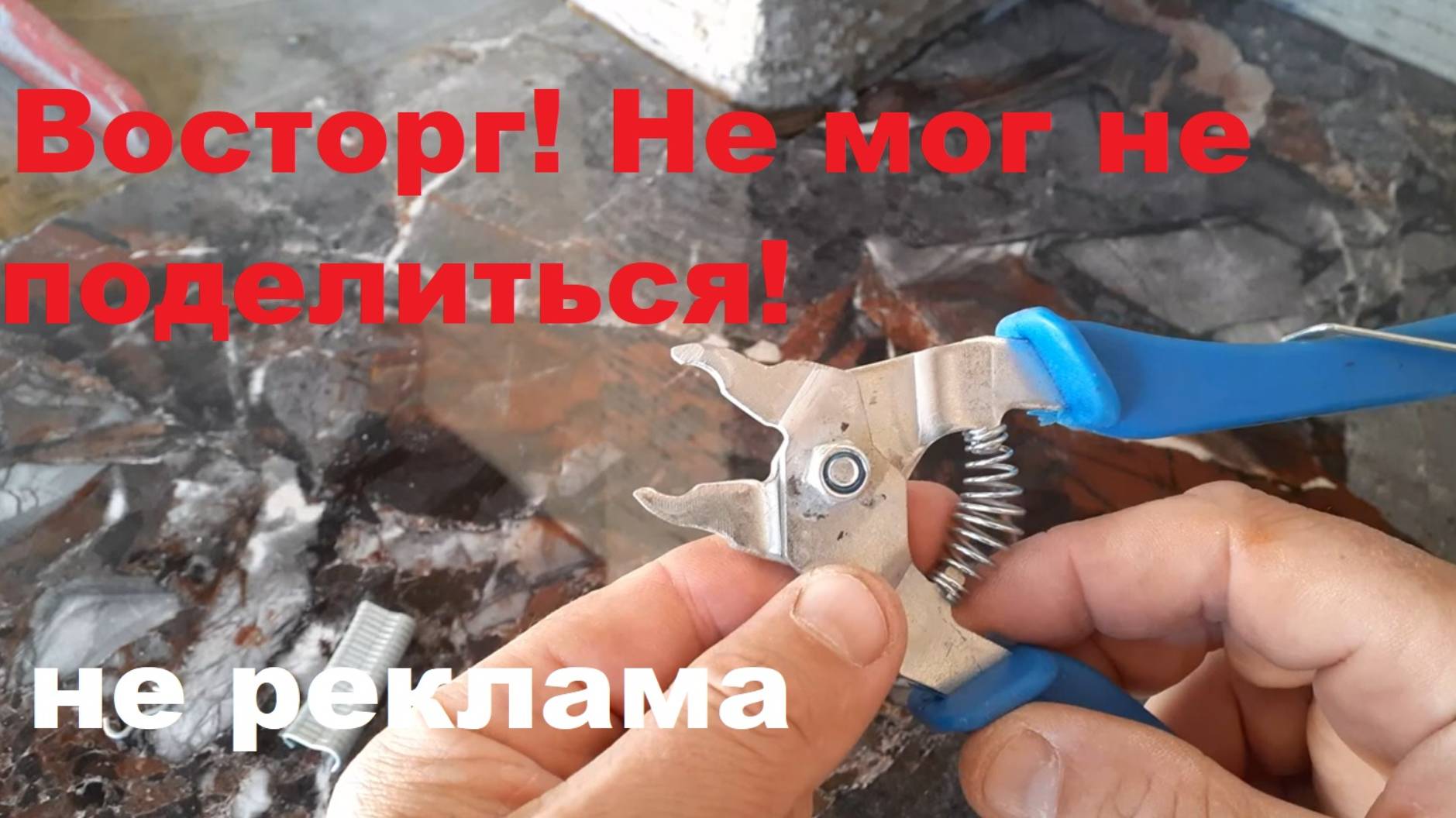 ВОСТОРГ - НЕ МОГ НЕ ПОДЕЛИТЬСЯ смотреть онлайн