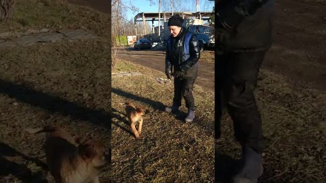 рыжик малинуа смотреть онлайн