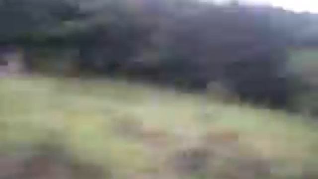 Niva Verde e Niva Elefante 2 смотреть онлайн