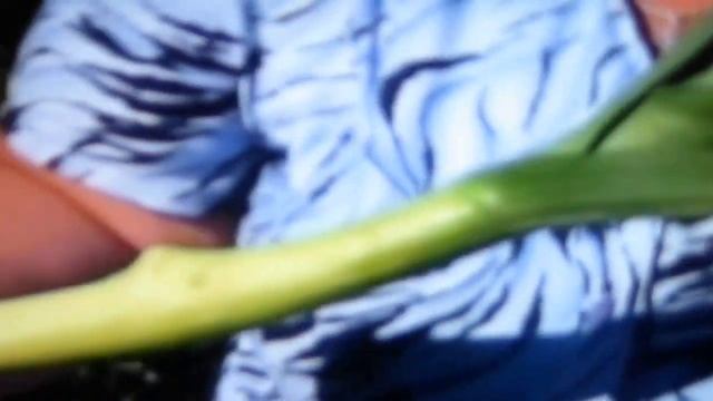 Лук порей смотреть онлайн