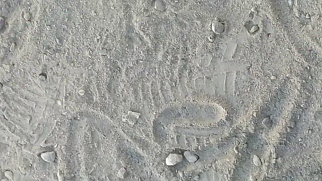 Айбека искусство 15 Августа 2020 Года 😂 смотреть онлайн