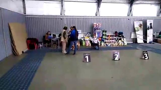 Дана.Саратов. 13/11/2018