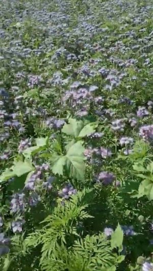 16 июня 2021 г.