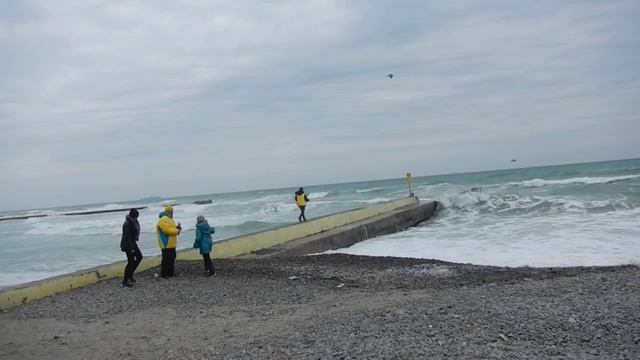Моржи Придунавья.Прощание с морем 15.01.13 смотреть онлайн