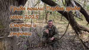 Грибы пошли! Первые грибы сезона 2025 Сморчки и строчки