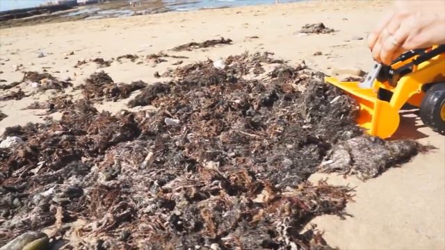 Видео про Трактор и Экскватор. Рабочие машины чистят песок