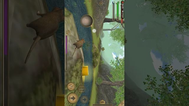 симулятор мыши #3 часть