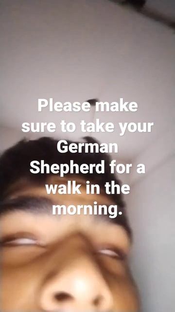 "Morning Walk with my German Shepherd"#shorts#trending shorts смотреть онлайн