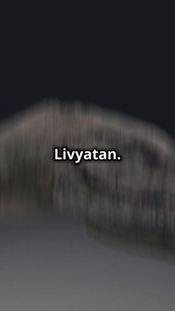 What Animal Could Kill a Megalodon ? смотреть онлайн