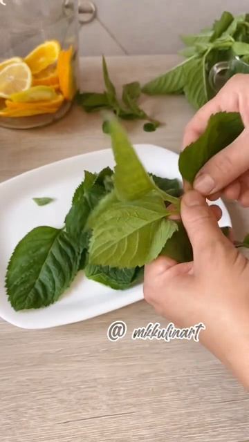 🍸 МОХИТО на целый год #mkkulinart #food #вкусно #shorts #напиток #мохито