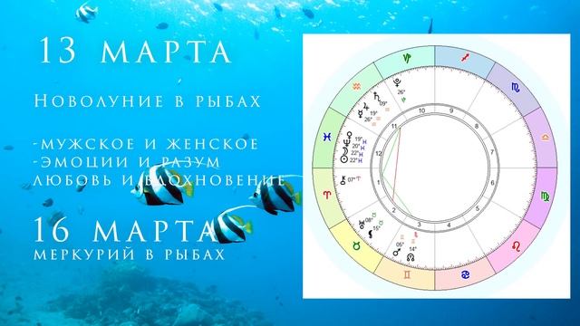 Астрологический прогноз Март 2021 | Helga AstroTaro смотреть онлайн