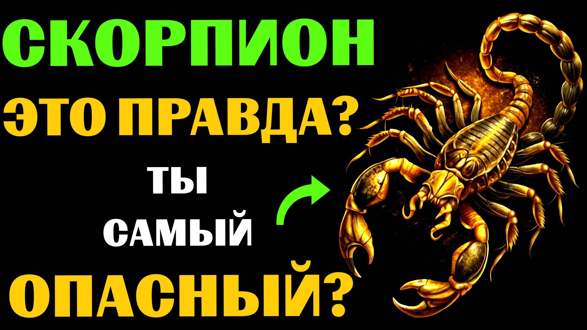 ♏🔴16 Опасных черт СКОРПИОНА. Вы с этим СОГЛАСНЫ❓ #скорпион смотреть онлайн