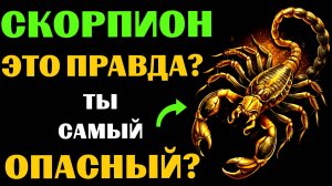 ♏🔴16 Опасных черт СКОРПИОНА. Вы с этим СОГЛАСНЫ❓ #скорпион