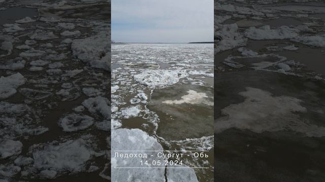 Ледоход - Сургут - 14.05.2024 смотреть онлайн
