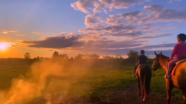 лошади🐎 смотреть онлайн