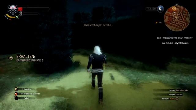 Let's Play The Witcher 3 [Blind] #076 - Triss in geheimer Mission смотреть онлайн