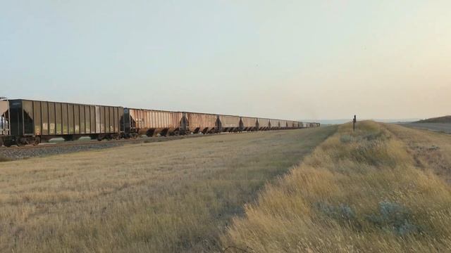 CPKC Grain Car: 55'8" Long, Weight 58 Tons, 5400 CF, 110 Ton Capacity смотреть онлайн