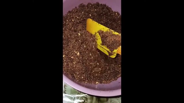 ПИРОЖНОЕ КАРТОШКА 🥔😋/ВКУС ИЗ ДЕТСТВА🥰/БЫСТРО, ПРОСТО и ДОСТУПНО!