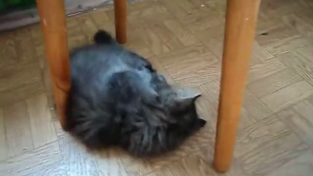 Веселый мартин смотреть онлайн