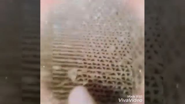 Зоомагазин и наши покупочки