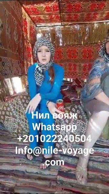 сафари в хургаде. сафари в шарм эль шейхе. нил вояж. отзывы. #нил_вояж_тур #экскурсиишарм #сафари смотреть онлайн