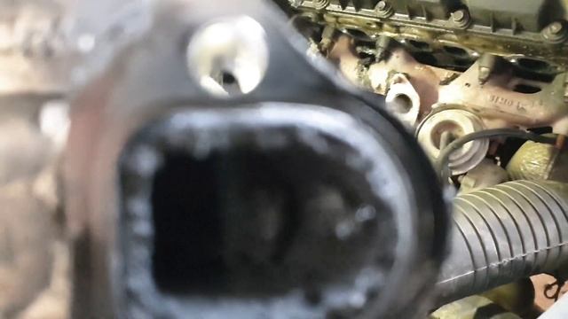 EGR ventil 1.9 tdi i blato u usisnoj grani! смотреть онлайн