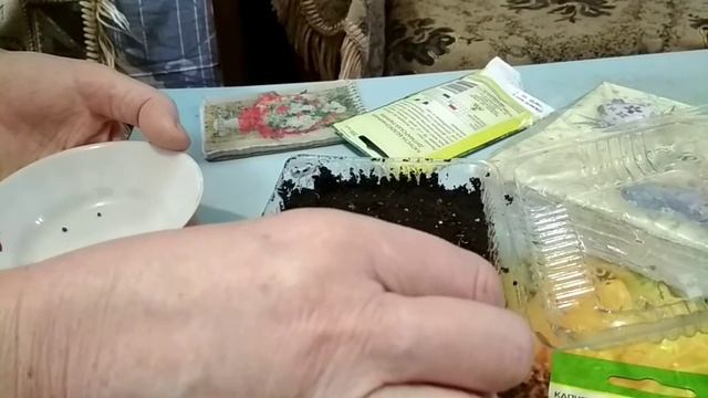 Посадка капусты смотреть онлайн