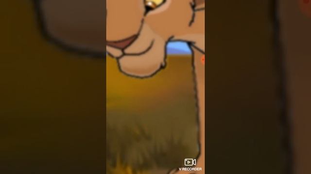 Почему шрам соблазнил Зингелу😭😭😭😭😢😢😢😢