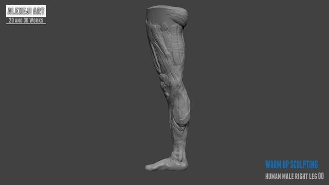 Human Male right Leg - WARM UP SCULPTING 03 | ZBrush смотреть онлайн