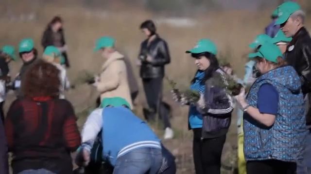 Море возможностей TianDe смотреть онлайн