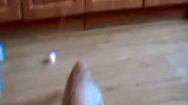 Леди - игра с бантиком! смотреть онлайн