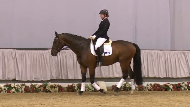32 Rheinklang Wallach v. Royal Angel - Sunny Boy смотреть онлайн