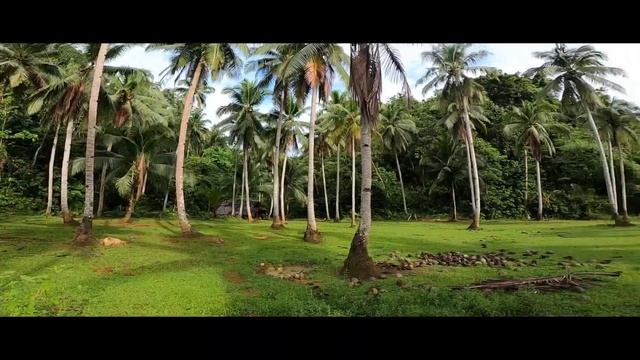 Siargao Buko Juice ride
Salsa Fargo
Go Far смотреть онлайн
